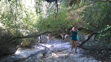 medo naturismo
