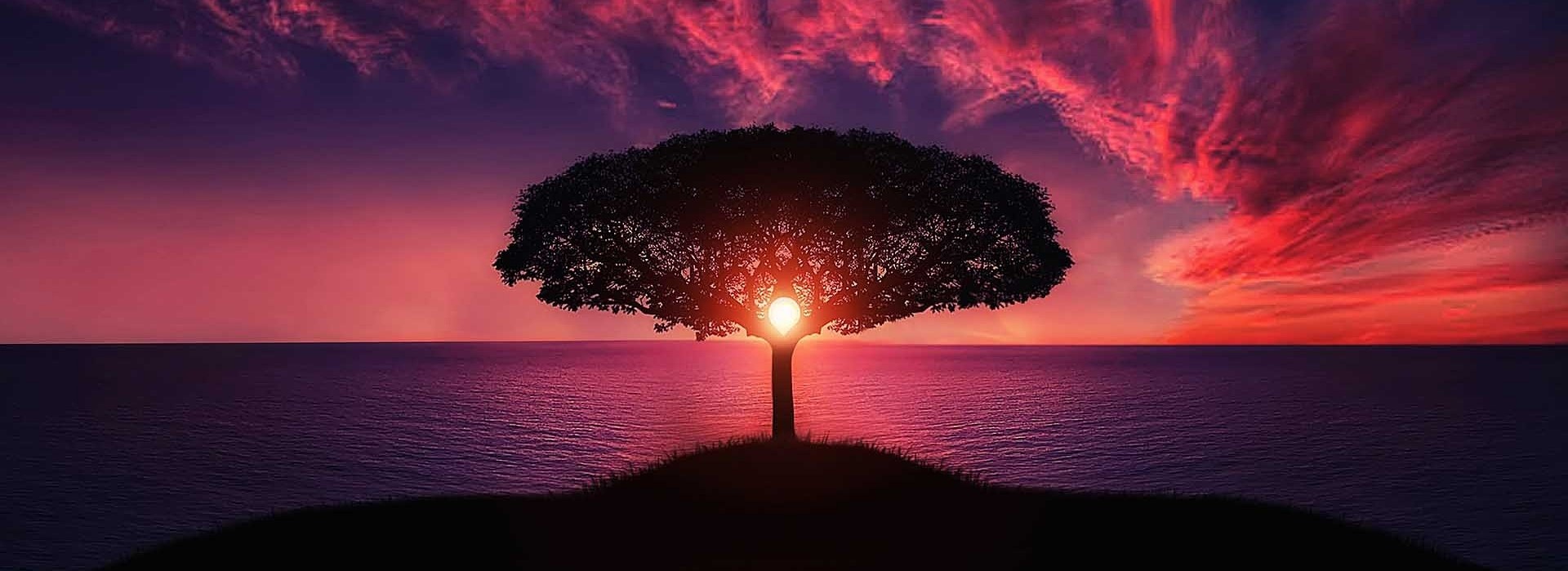 131 pilares naturismo