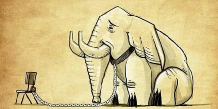 opiniao