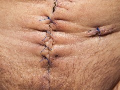 gostardocorpo